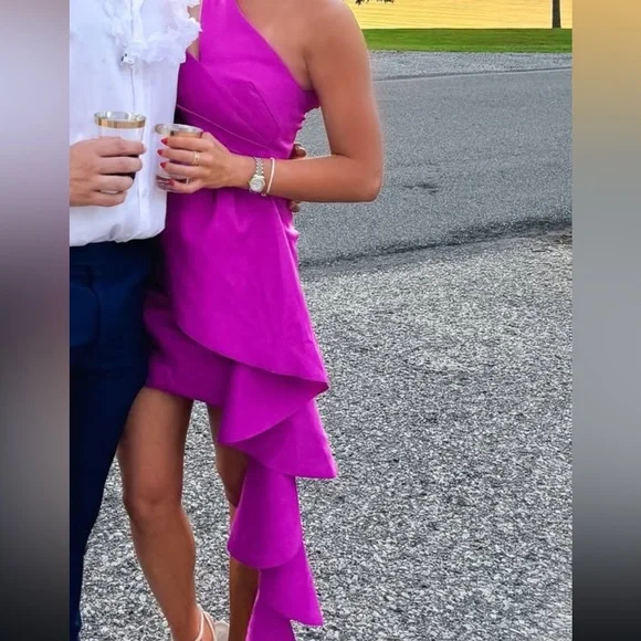 Elliatt Mini Dress - Picture 3 of 3